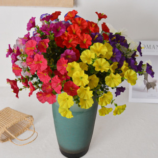 ���쁆�R�d���滨�ȼ���������ţ�����Ȳ����Ҿ��҃ȑ��⻨�@�b�