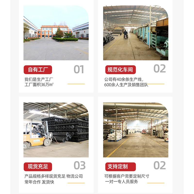 钢塑土工格栅厂家供货双向拉伸高强焊接道路工程护坡工程钢塑格栅