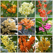 �𻨘���������Խ���ļ����҃����̨�����ͻ��ܾGֲͥԺ�辰