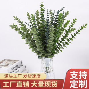 �����ȼ����~���l�羳���X�~�[����c�b���Gֲ���滨�����