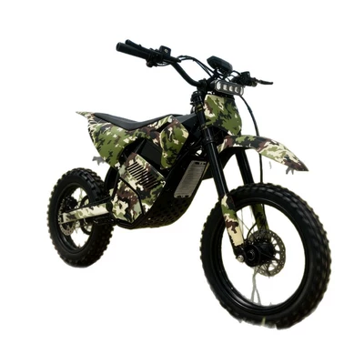 motorcycle 14inch, Elektrikli motosikletlər