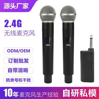 无线话筒一拖二58手持会议直播KTV舞台专业唱歌订制K歌充电麦克风