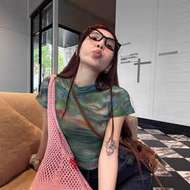 抽象印花网纱短袖t恤女夏高级感修身显瘦短款辣妹设计感小众上衣