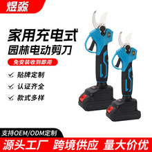 ���ó��ʽ�@��늄Ӽ����๦���ֳ�����֦������yʽ������֦��