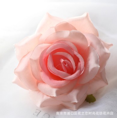 고기 가루