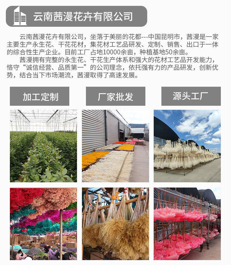 家居装饰DIY花艺绣球干花