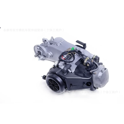 Wanye Engine 150Cc Automatic: Other starting systems