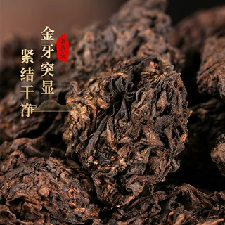 云南渤海普洱大坨老茶头春茶醇香古树老茶头熟茶散茶厂家现货批发