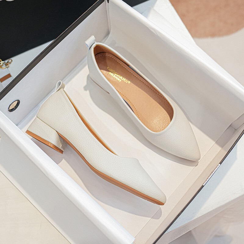 Comfortable Pointed Shallow Mouth Single-layer Shoes Women's 2023 Spring and Autumn Soft Leather Two-way Wear Thick Heel High-heeled Shoes Mid-heeled Work Shoes