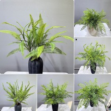 仿真草蕨类人造植物铁线蕨迷迭香蕨叶假草插花花材绿植微景观造景