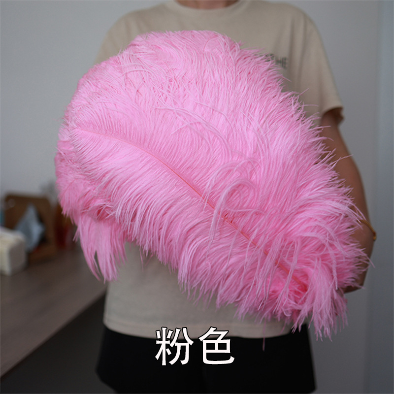 55 - 60cm plumas de avestruz de Sudáfrica al por mayor accesorios de ropa DIY accesorios materiales accesorios de diseño de boda lana de avestruz