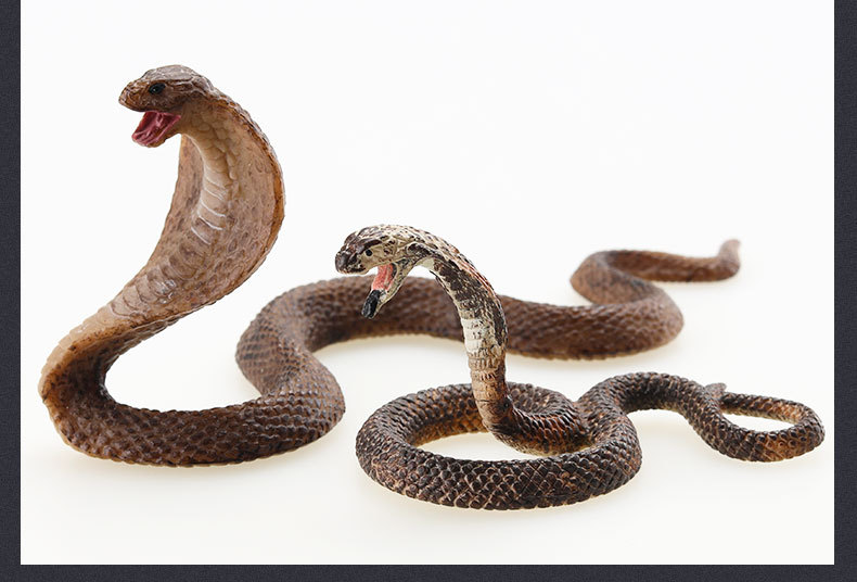 蛇系列-详情图_04.jpg