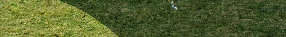 18406038-db9e-4e66-a765-8af21ec81357.jpe