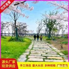 �·��ʯ����ʯ��ʯ��¹ň@�־G��ͥԺ̨�A·��ʯ��������