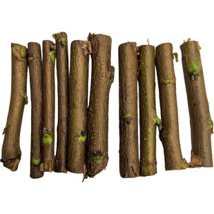 �|����ľ֦ԭľ��ľ֦�[������܇��С ���@����ľ֦����ľ