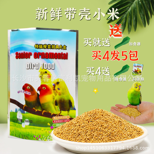 Offering to deliver 500g of bird food: millet-based parrot feed, pet bird food, including five-color millet, tiger-beetle seed mix, peony grain, and cockatiel-friendly feed.