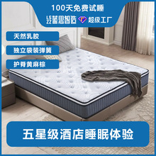 �{˼����ϯ��˼����������Ӳ���|�o���S���؉|���z�Ӻ����Ǽ�����