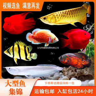 wlb�W�^�~��ˮ�Ꭷ�^�p�~؈�����t���~���~�؈D�~�д����~