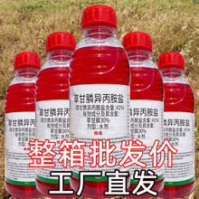 41%�ݸ�좮������}���������s�݄��ݸ��׳��s�ݠ����������l