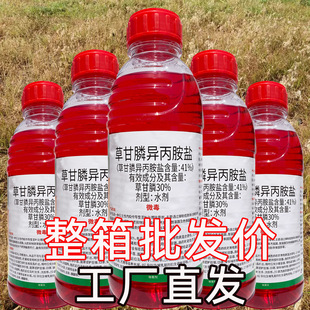 41%�ݸ�좮������}���������s�݄��ݸ��׳��s�ݠ����������l