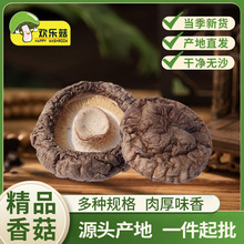 �㹽��؛���{�خaʳ�þ���؛�Ƶ��ُ�r�aƷ���l���|һ�����㹽