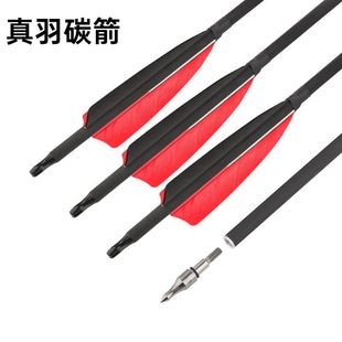 ����䁟��N��4Ӣ������̼����̼�ؼ�֧���u��ë�ɓQ���^���C���y