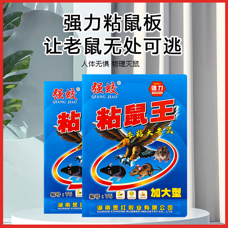 工厂直售粘鼠板加大型透明胶灭鼠器超强力居家粘鼠贴捕鼠器
