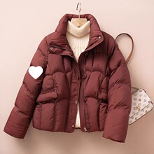 С���ӿ��¿���q�޷�2025��������@�ݼӺ�ůС�������e����