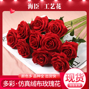 ����õ�廨��ʽq��õ�廨��֦õ����Ϧ���˹��Ҿӻ�c�bٻ�