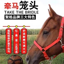 ���R�R���R�g�����H�����R�\�^�Ͻ�����{���R���^��˩�R�b����]