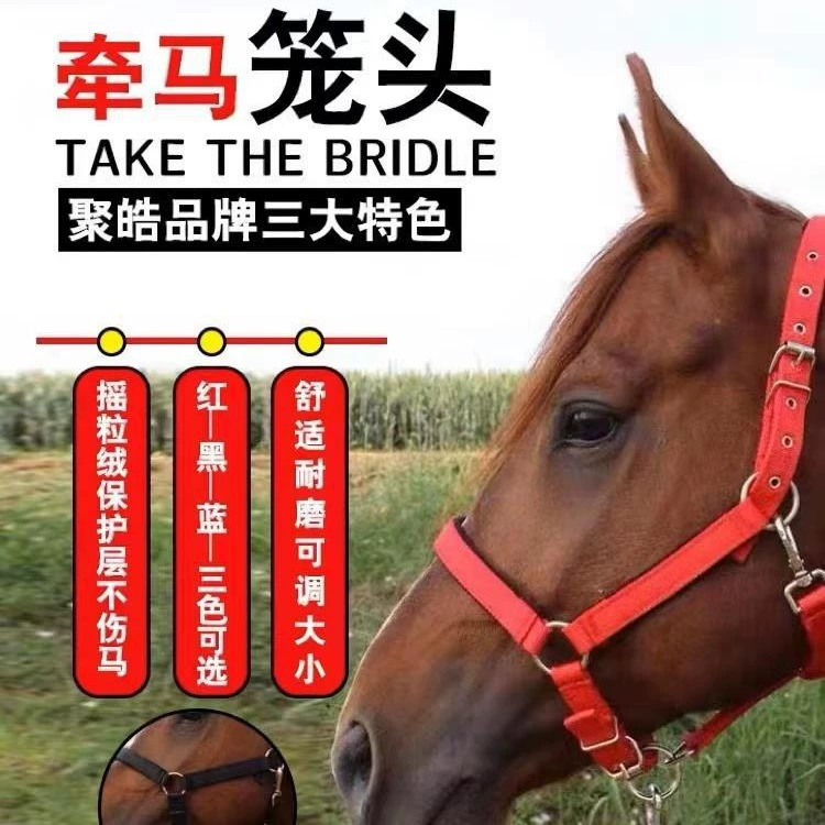 Конная упряжь, конный дракон, набор, тяга для осла, головной убор для лошади, аксессуары из сплава, тренировочный головной убор для лошади, оборудование для привязывания лошади, бесплатная доставка