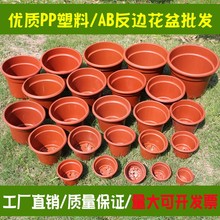 AB�A��߅���ϻ���Ӻ���طNֲ������W��С����G�}С̖��̖�o��