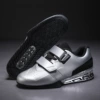 2318 silver