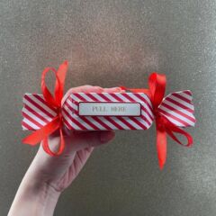 Christmas Surprise Money Pull Pouch 圣诞节糖果盒钱夹 惊喜盒