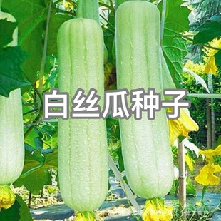 �׽z�ϷN�Ӵ����ϱ����߮a�ϱ����̨�����߲˷N��������