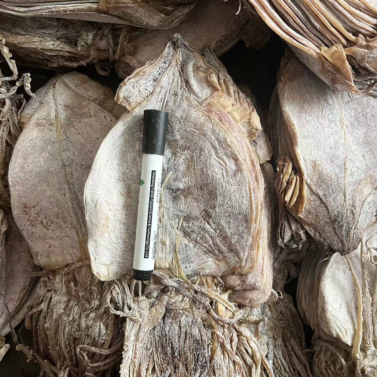 微信圖片_20220701153606