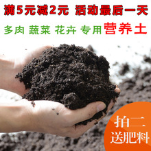 營養土大量批發多肉土種植土肥土泥炭土土種菜土壤有機大包通用型
