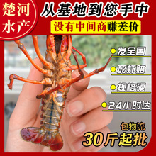 С���r�r����r���l���ú����a�؝�����ˮ�r456�X���r������