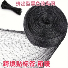 �羳���@���B���x���o�W�Gֲ���o�Wpe���o�W���љ��ҹ�����B�W