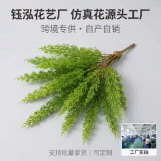 跨境仿真绿植狐尾天门冬单支把束渐变色草蕨微景观造景装饰绿叶