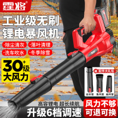 大功率充电式锂电吹雪暴风机工业无刷除尘器热暴风落叶吹风机批发