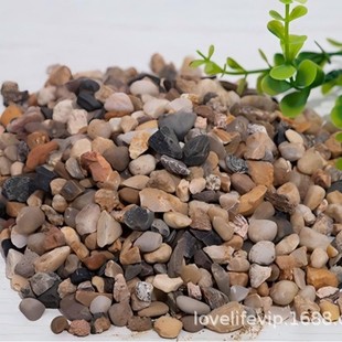 Mixed Color Building Material Pea Stone Pea Gravel Aquarium