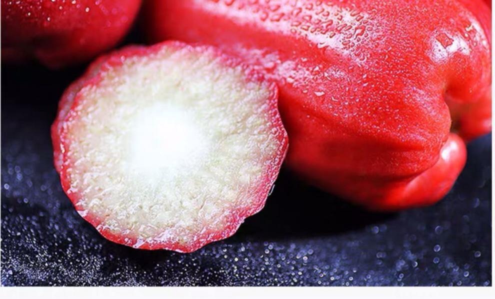 8cc6ada2-04ee-4579-9d3b-e8a7b02ae864.jpe