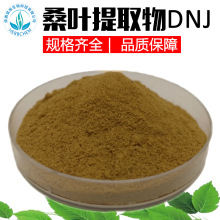 桑叶提取物DNJ5%桑叶生物碱脱氧野尻霉素另桑叶DNJ1%-10%100g