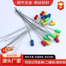 高强度钢丝铅封货运集装箱防拆封锁电表水表快递箱防盗封条