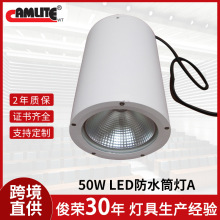 50W��ˮͲ���҃ȑ����T�^�̨�w�C��܇վ�}��܇�g�����ULEDͲ��