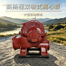 双吸式离心泵大型工业泥浆抽沙泵大流量高扬程抽水双吸式离心泵