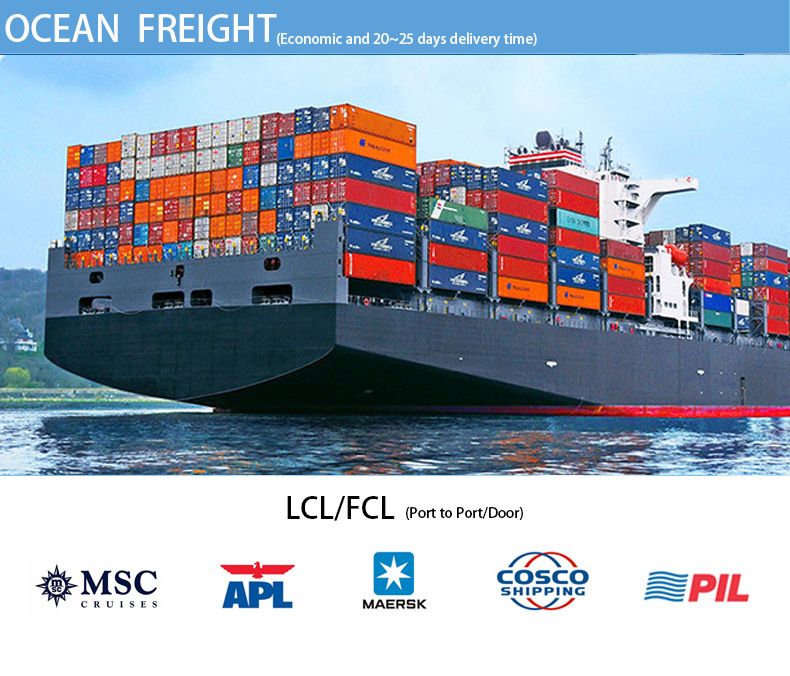 ShenZhen Best price of Sea freight container to Dallas