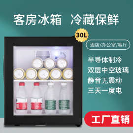 批发小冰箱冷藏展示柜迷你冰吧30L 饮料茶叶药品保鲜酒店家庭