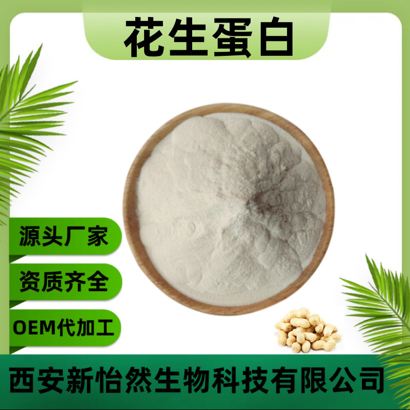 Peanut Protein 90% Peanut Kernel Powder Peanut Protein Powder Peanut Extract in stock Supply Food Grade Peanut Protein 90% Peanut Kernel Powder Peanut Protein Powder Peanut Extract in stock Supply Food Grade